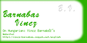 barnabas vincz business card